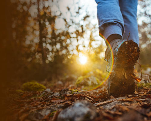 Person walking in nature to reduce cortisol and support mental health